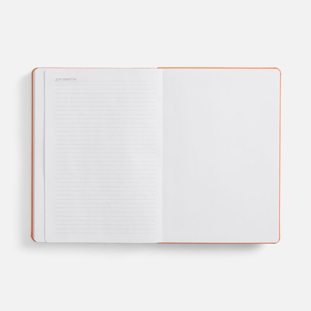 Ежедневник Basis, датированный