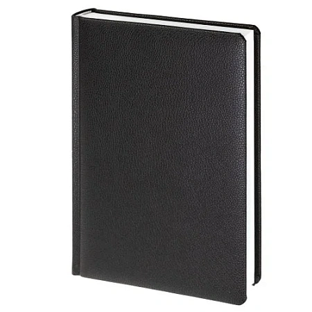 Ежедневник Sagrin, недатированный