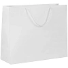 Пакет бумажный с ламинацией Lami Tote L