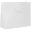 Пакет бумажный с ламинацией Lami Tote L