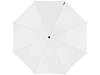 Зонт-трость Arch