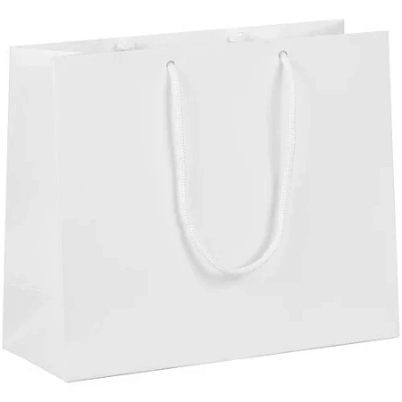 Пакет бумажный с ламинацией Lami Tote S