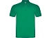 Рубашка поло Austral мужская