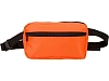 Cумка на пояс Flossy