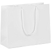 Пакет бумажный с ламинацией Lami Tote S