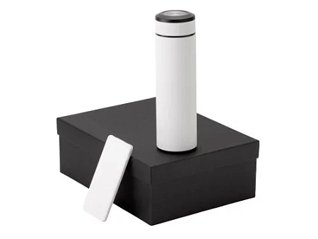 Подарочный набор COLOR IT c термосом и повербанком