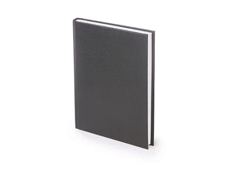 Ежедневник датированный А5 Ideal New на 2026 год