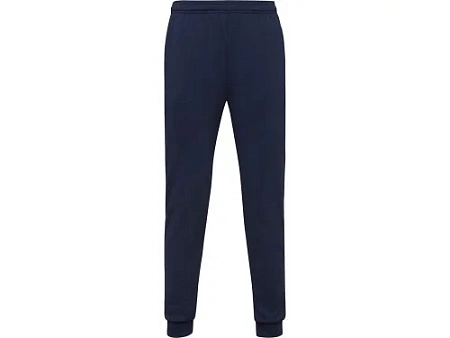 Брюки спортивные Rodas, мужские