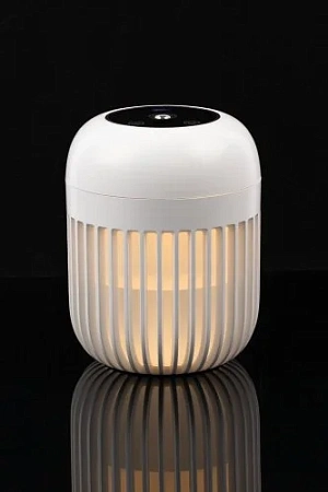 Переносной увлажнитель-ароматизатор с подсветкой PH11