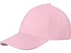 Бейсболка Darton
