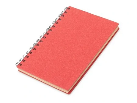 Блокнот А5 на спирали Mania