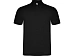 Рубашка поло Austral мужская