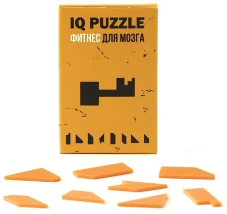Головоломка IQ Puzzle